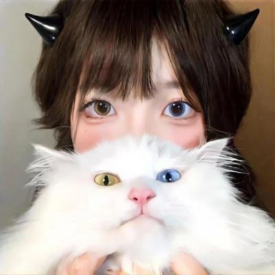 盟军